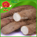 Wild Chinese Fresh Yam para la venta